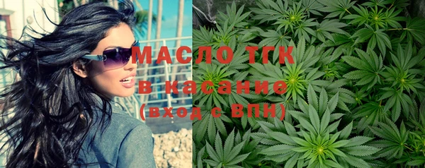 стаф Арсеньев