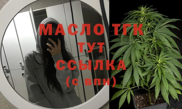 стаф Арсеньев