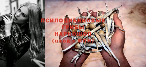 стаф Арсеньев
