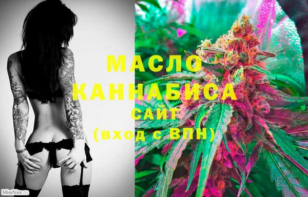 стаф Арсеньев