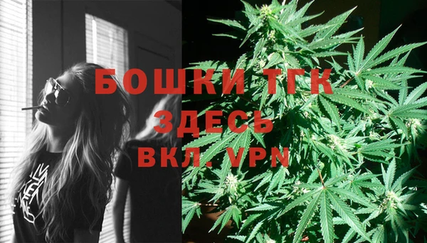 стаф Арсеньев