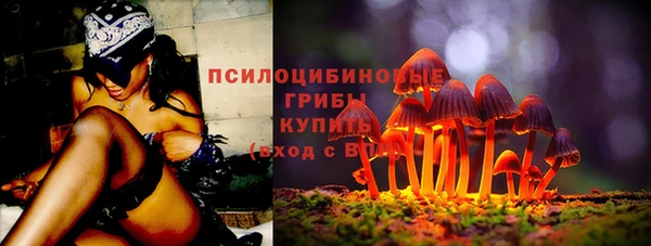 стаф Арсеньев